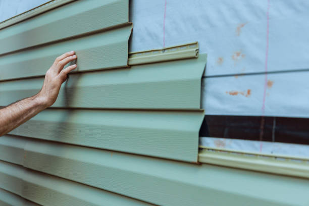 Best Siding Painting and Refinishing  in Coyne Center, IL